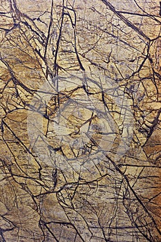 Fossil natural brouwn grande marble texture architecture photo