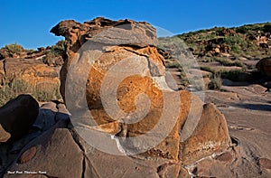 FOSSIL PARK, KUTCH,GUJARAT