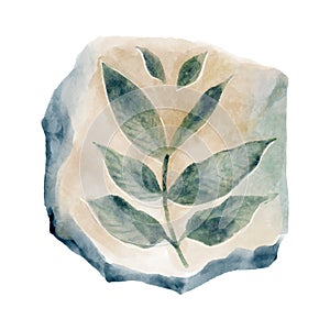 Fossil of plant in rock . Watercolor paint design . Vector