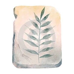 Fossil of plant in rock . Watercolor paint design . Vector