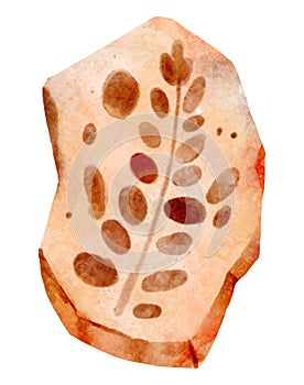 Fossil of plant in rock . Watercolor paint design . Vector