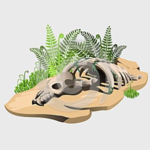 Fossil skeleton of an ancient animal on stone
