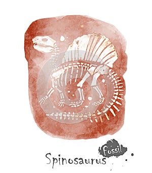 Fossil of Spinosaurus dinosaur in rock . Watercolor paint design . Vector