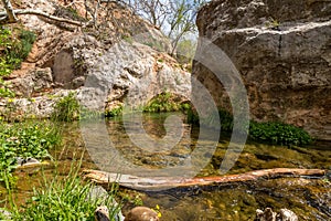 Fossil springs creek Arizona.