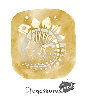 Fossil of Stegosaurus dinosaur in rock . Watercolor paint design . Vector