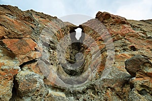 Fossil of a tree in Palisades rocks