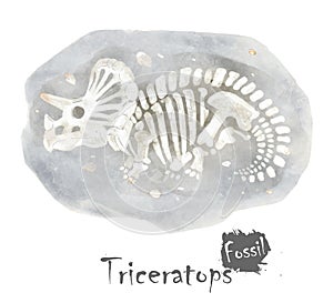 Fossil of Triceratops dinosaur in rock . Watercolor paint design . Vector