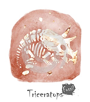 Fossil of Triceratops dinosaur in rock . Watercolor paint design . Vector