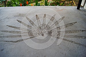 Fossilized imprint of the giant plant leaf in the concrete. Phi phi Thailand.