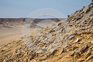 Fossilized seashells in the desert. A hill of fossilized seashel