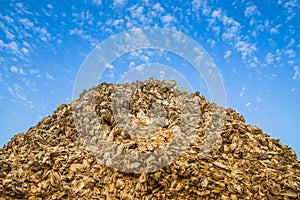 Fossilized seashells in the desert. A hill of fossilized seashel