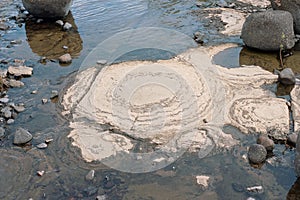 Fossilized stromatolites
