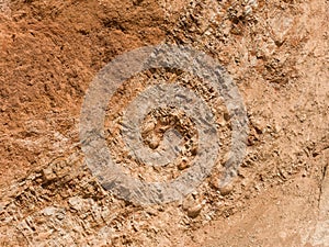 Fossils in the Andes of Huancayo, Peru photo