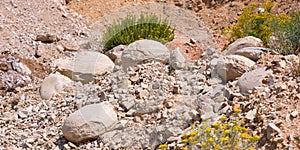 Fossils in the Andes of Huancayo, Peru photo