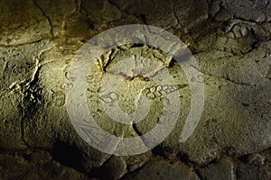 Fossils, Arwah Cave known for its limestone formations and fossils of fish bones, shells, Cherrapunjee