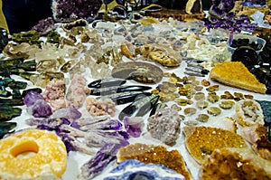 Fossils and minerals for sale in the store