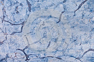 Fossils in Stone as Abstract Background