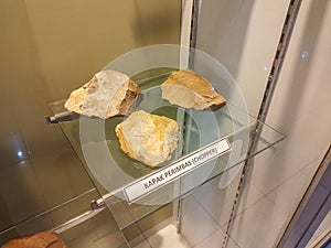 Fossils of stone tools used by ancient humans in the Sangiran Museum.