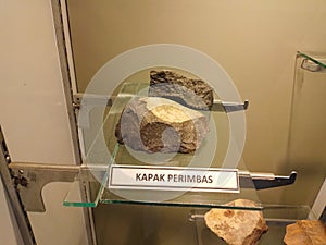 Fossils of stone tools used by ancient humans in the Sangiran Museum.