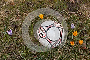 Fotball in the grass photo