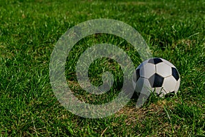 Fotball or soccer black and white ball on green grass background