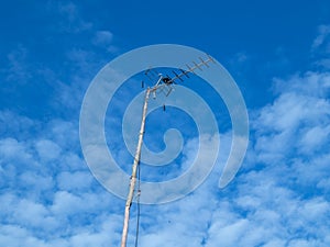 foto antena penangkap siaran uhf di perdesaan kami