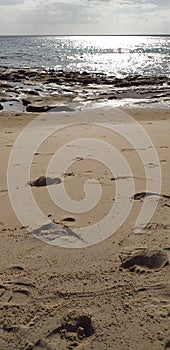 foto controluce di sole e impronte di piedi sulla sabbia photo
