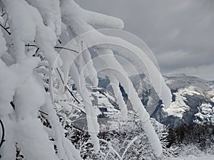 Beautiful winter landscape in the Carpathian mountains with branches trees covered with snow in Romania, Trasilvania, village of photo