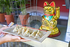Chef presenting dumplings served at a foodtruck festival photo
