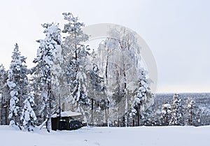 Fotohut, Kuusamo, Finland; Photohide, Kuusamo, Finland photo