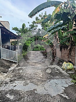 Fotoku berada di lorong belakang desaku