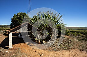 FOTOS - Simple farm house. Brick house, red roof, red earth farm, Brazil. photo