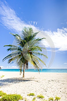 Foul Bay, Barbados, Caribbean