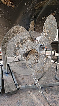 Fouled yacht propeller and eroded anode photo