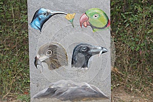 Found this board in a sanctuary in india. Details of fre birds beaks with their prey in their mouth