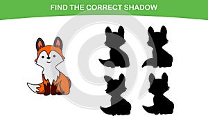 Found the shadow of a cute fox. Education of preschoolers