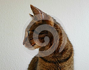 Found something interesting