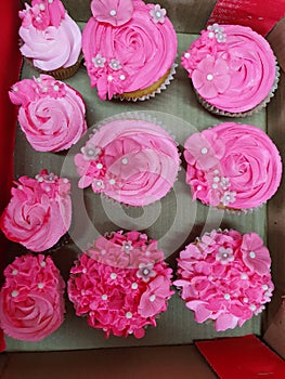 Foundant Art Cupcakes