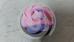 Foundant Art Cupcakes