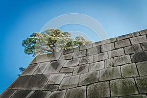 .The foundation of a Castle tower of the Edo-jo Castle,Japan