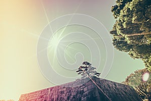 The foundation of a Castle tower of the Edo-jo Castle,Japan ( F