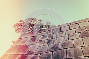 The foundation of a Castle tower of the Edo-jo Castle,Japan ( F