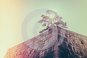 The foundation of a Castle tower of the Edo-jo Castle,Japan ( F