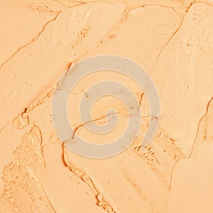 Foundation color sample