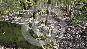 the foundation of an old manor house in the woods