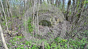 the foundation of an old manor house in the woods