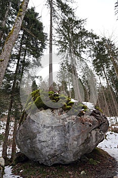 foundling at the lake King in Germany