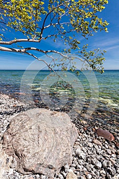 Foundling on shore of the Baltic Sea