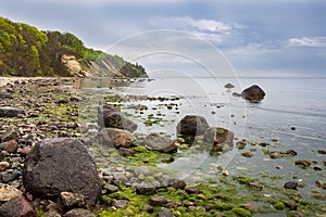 Foundlings on shore of the Baltic Sea