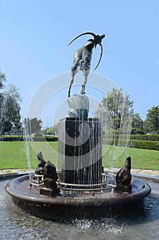 Fountain at Anna Scripps Whitcomb Conservatory